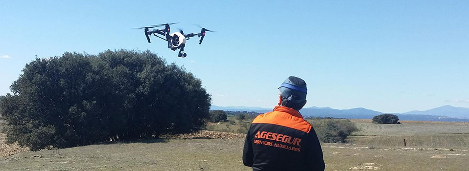 empresa servicios auxiliares en madrid